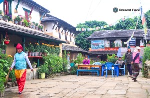 घान्द्रुक गाउँको शान (फोटो फिचर)