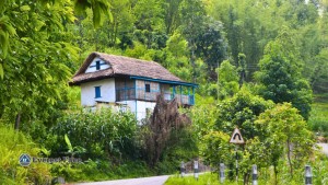 तस्बिरमा सुन्दर पूर्वी नेपालः फिदिमदेखि फुङ्लिङसम्म (फाेटाे फिचर)