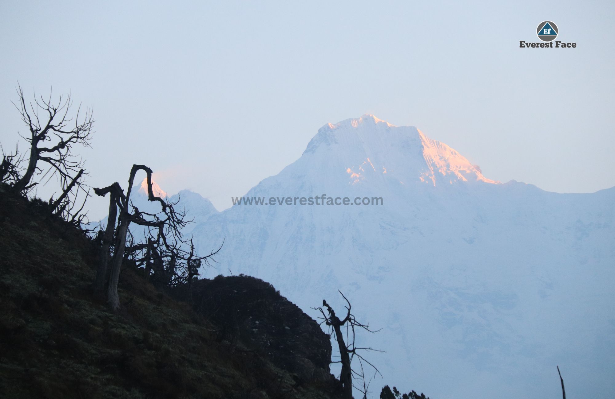 Ganesh_Himal-1747148826.jpg
