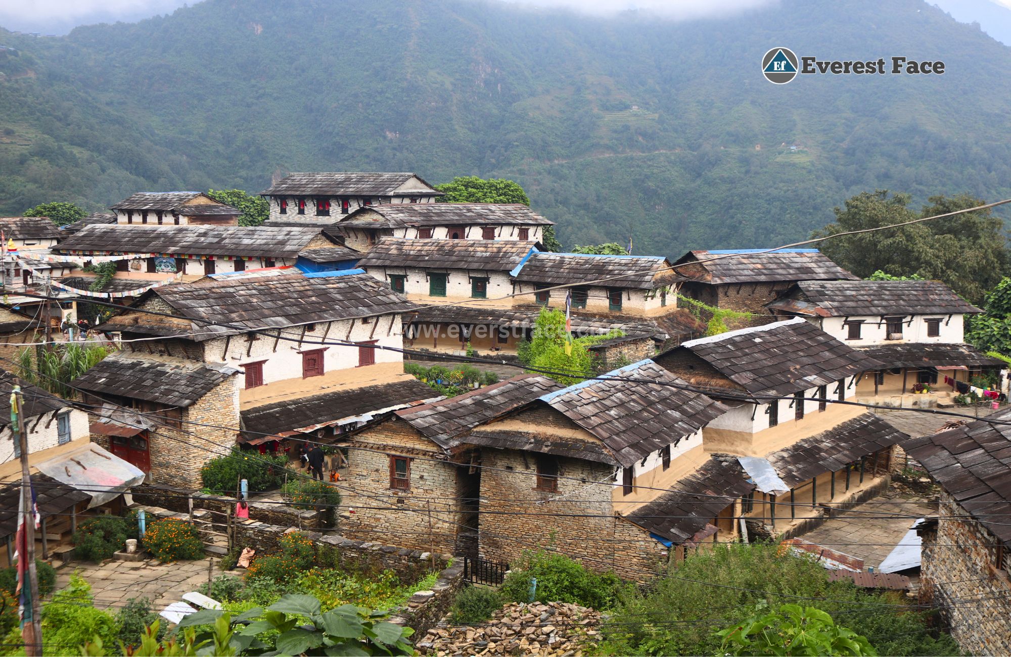 Ghandruk_Village-(19)-1751246482.jpg