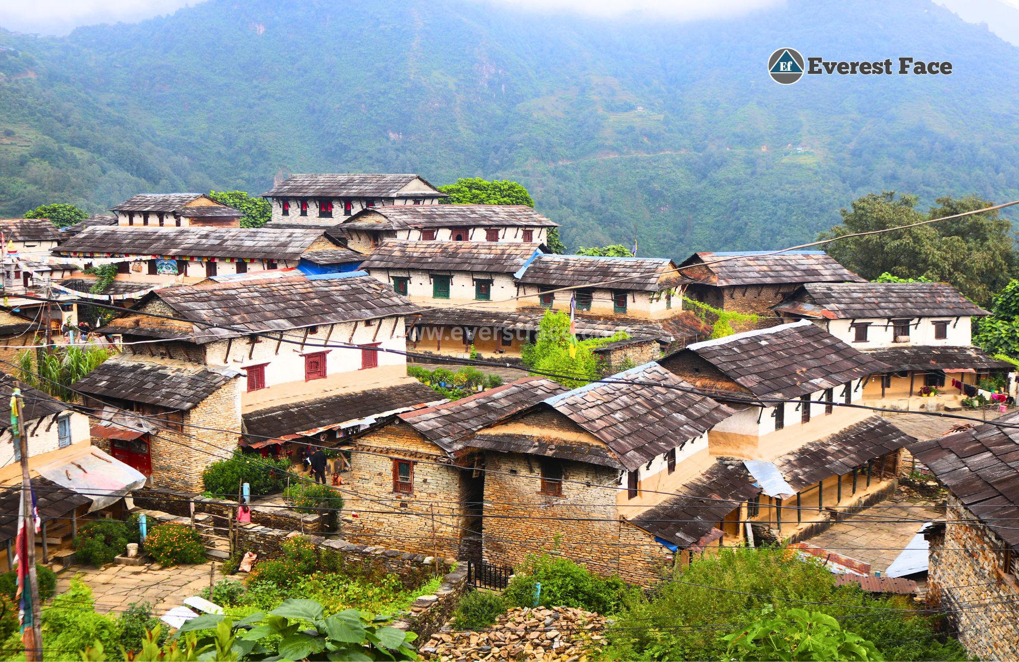 Ghandruk_Village-(20)-1751246482.jpg