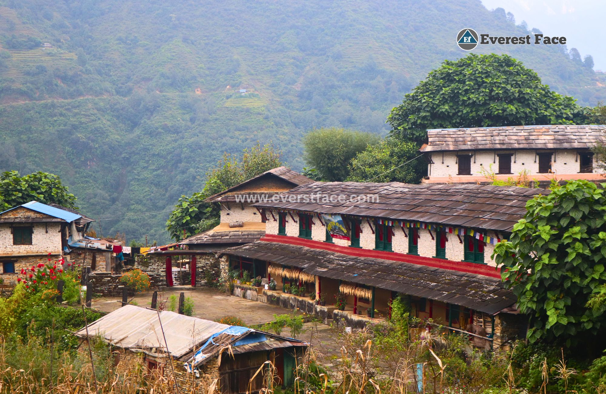 Ghandruk_Village-(4)-1751246509.jpg