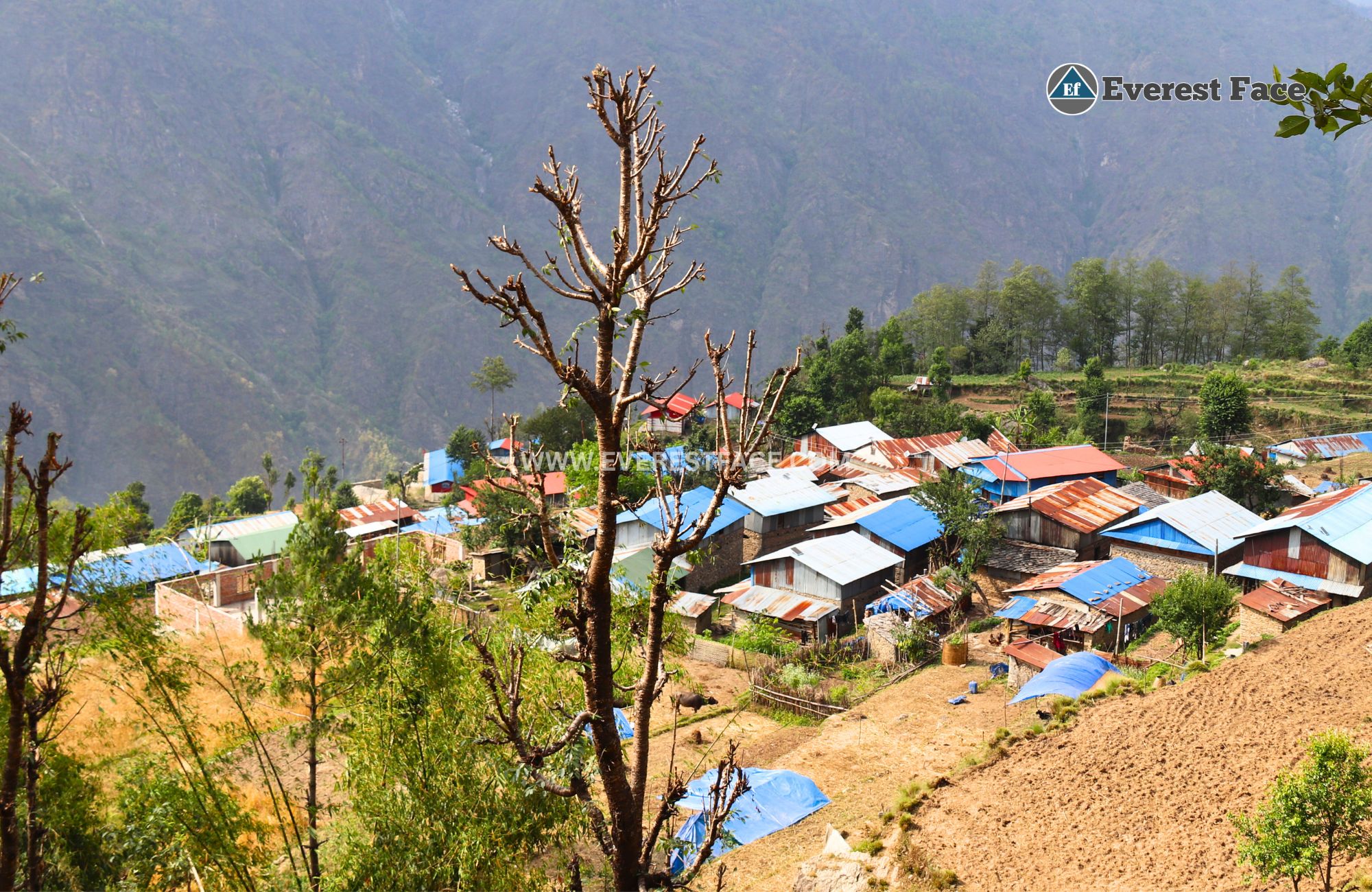 Jharalang_Village-(1)-1748062901.jpg