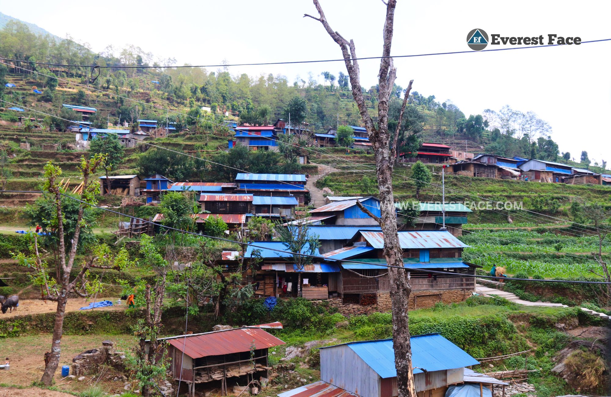 Jharalang_Village-(11)-1748062882.jpg