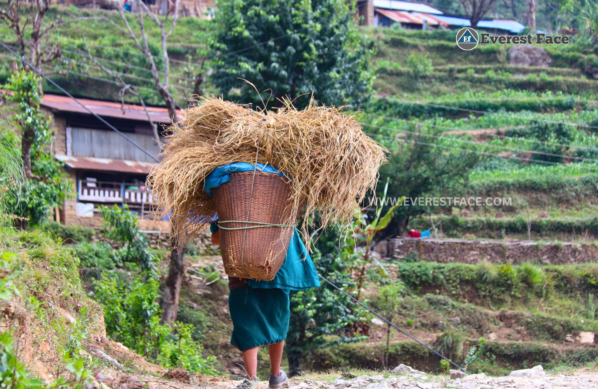 Jharalang_Village-(12)-1748062881.jpg
