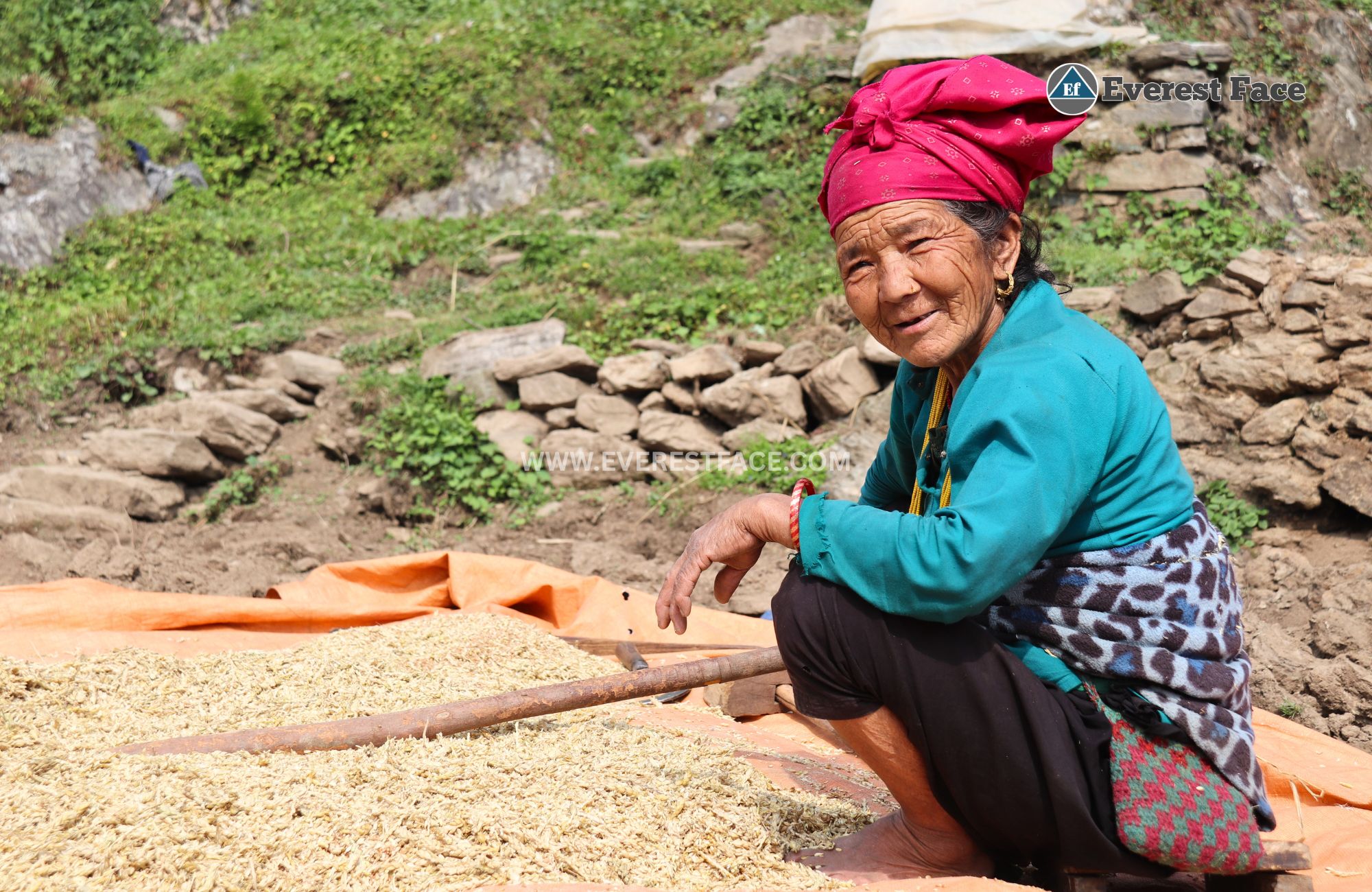 Jharalang_Village-(2)-1748062899.jpg