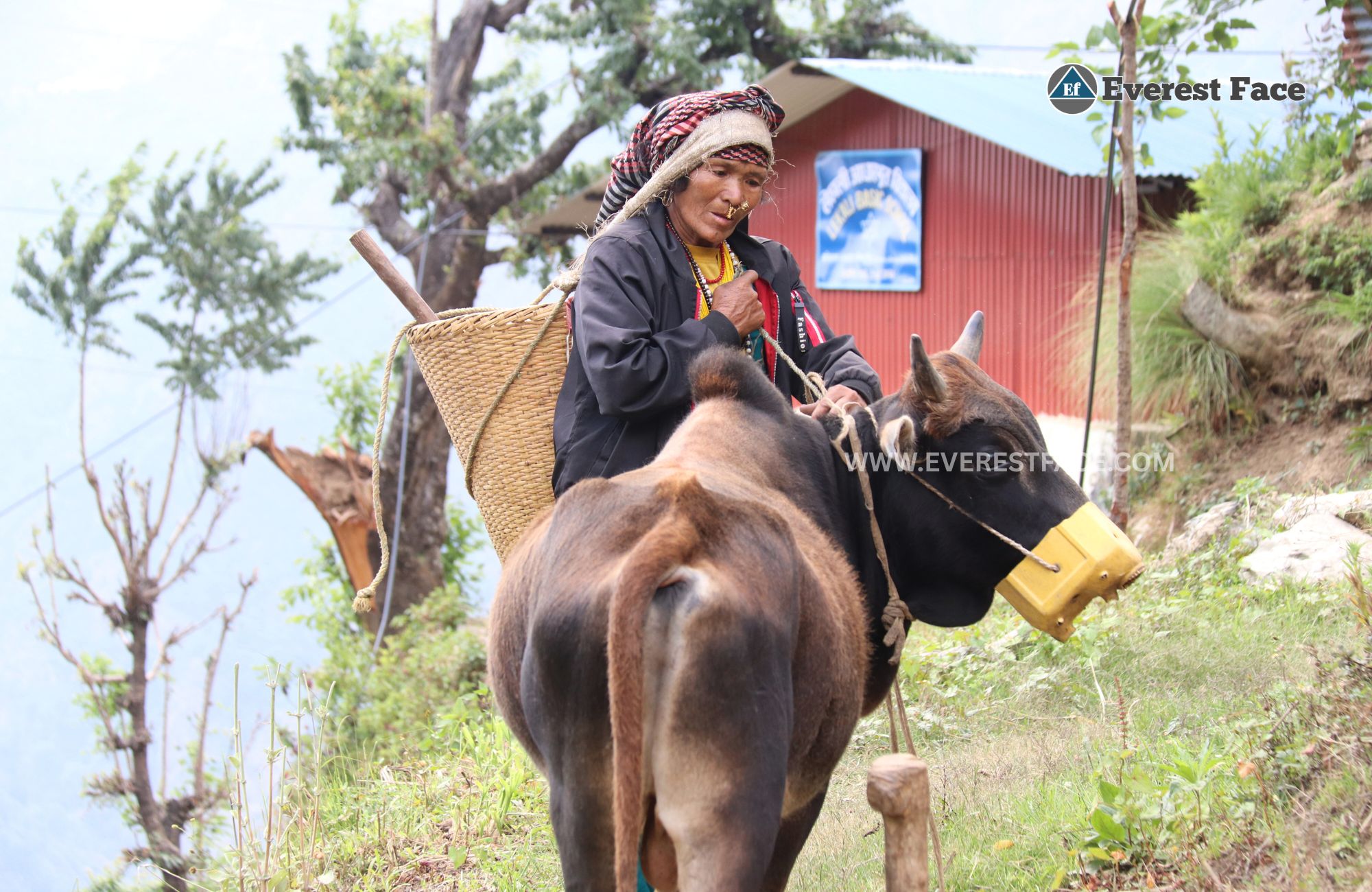 Jharalang_Village-(8)-1748062888.jpg