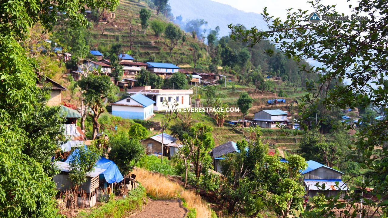 Jharlang_Village-(1)-1748062910.jpg
