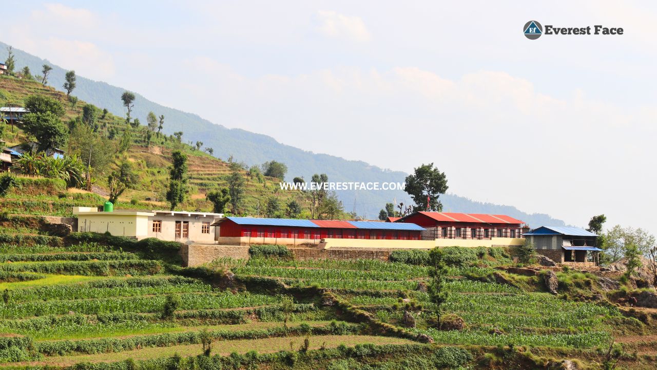 Jharlang_Village-(3)-1748062908.jpg