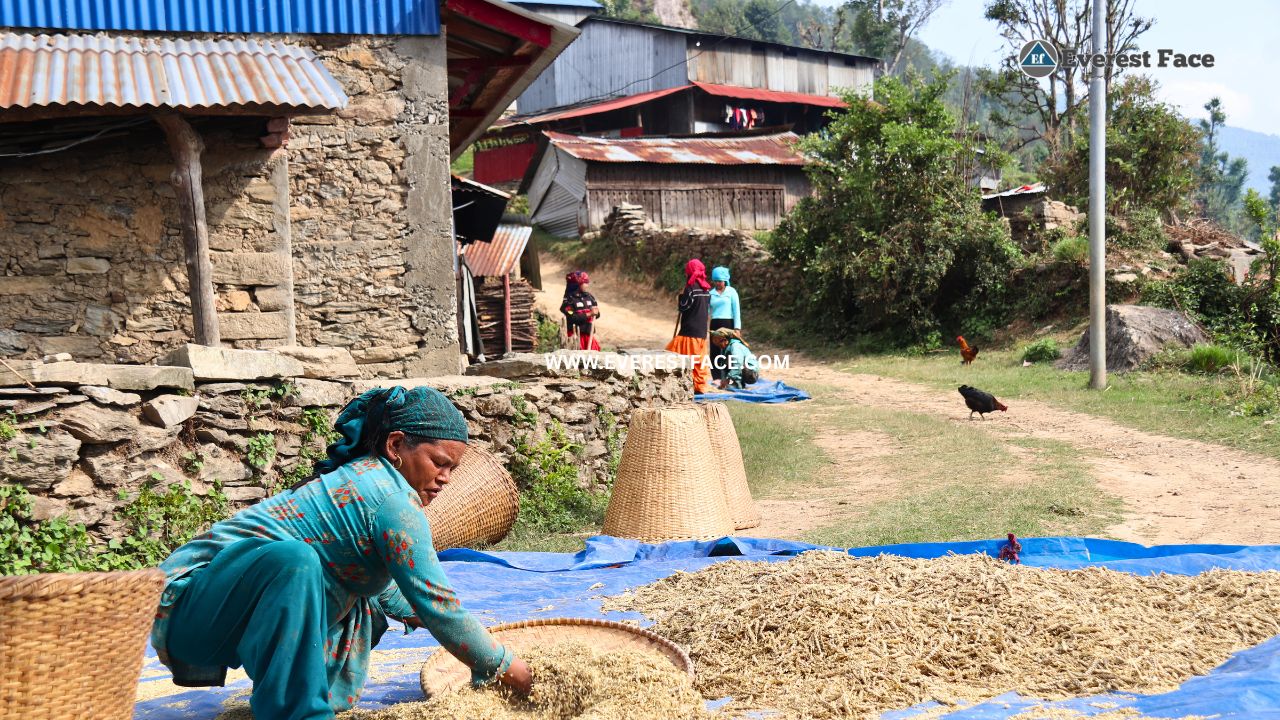 Jharlang_Village-(4)-1748062907.jpg