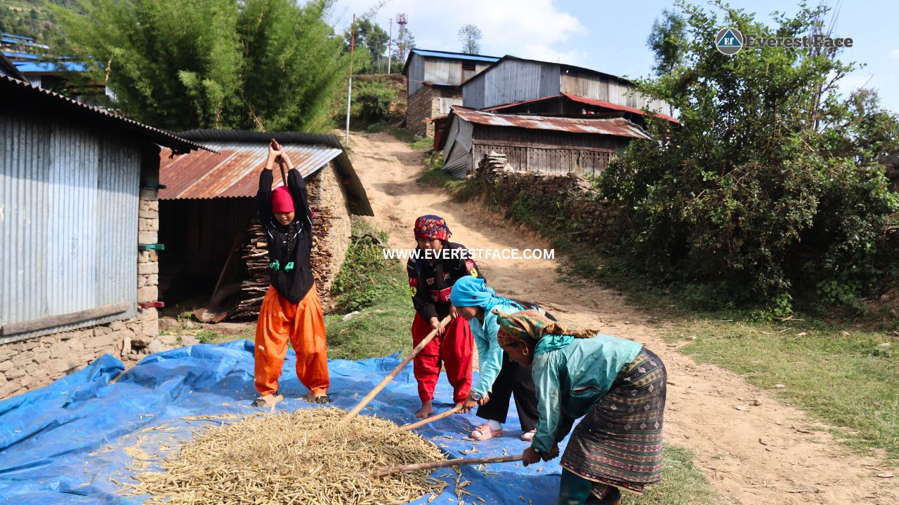 Jharlang_Village-(5)-1748062905.jpg
