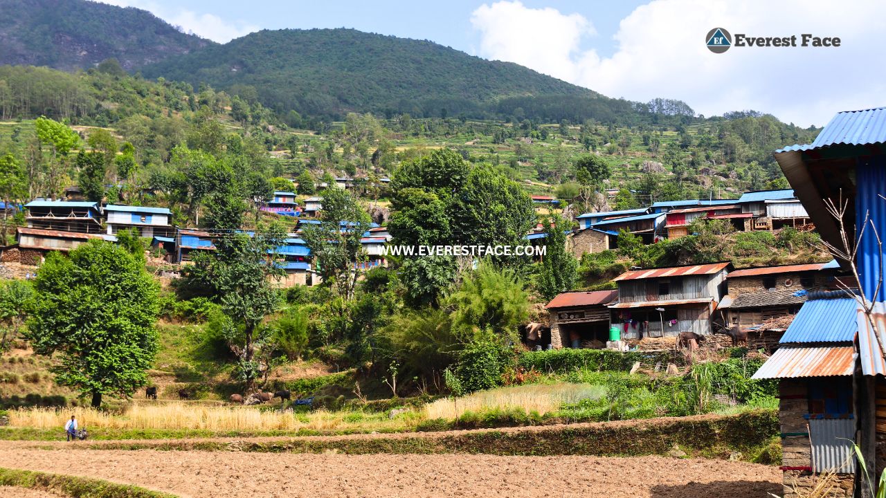 Jharlang_Village-(6)-1748062905.jpg
