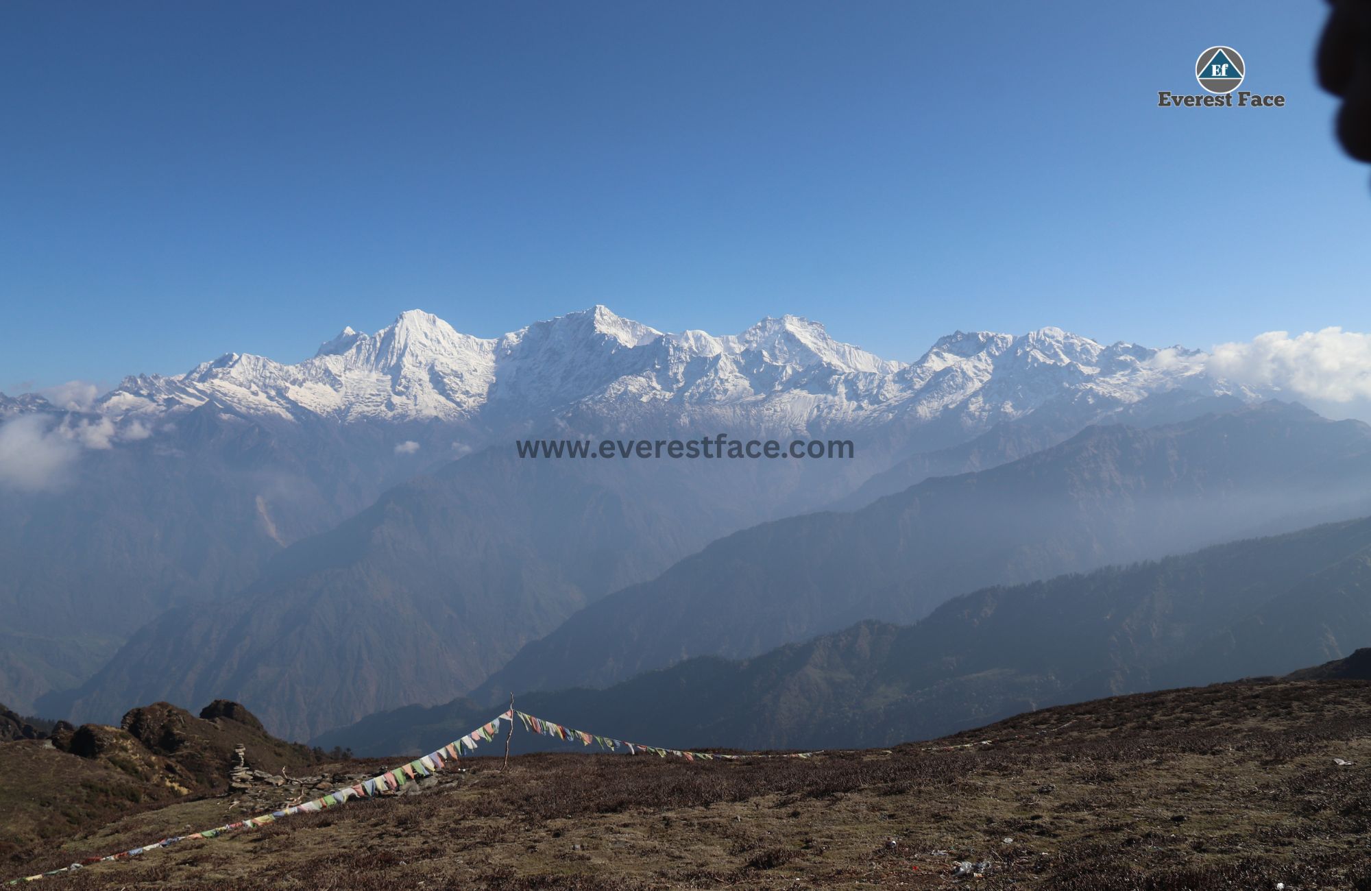 Singla-(13)-1747148805.jpg