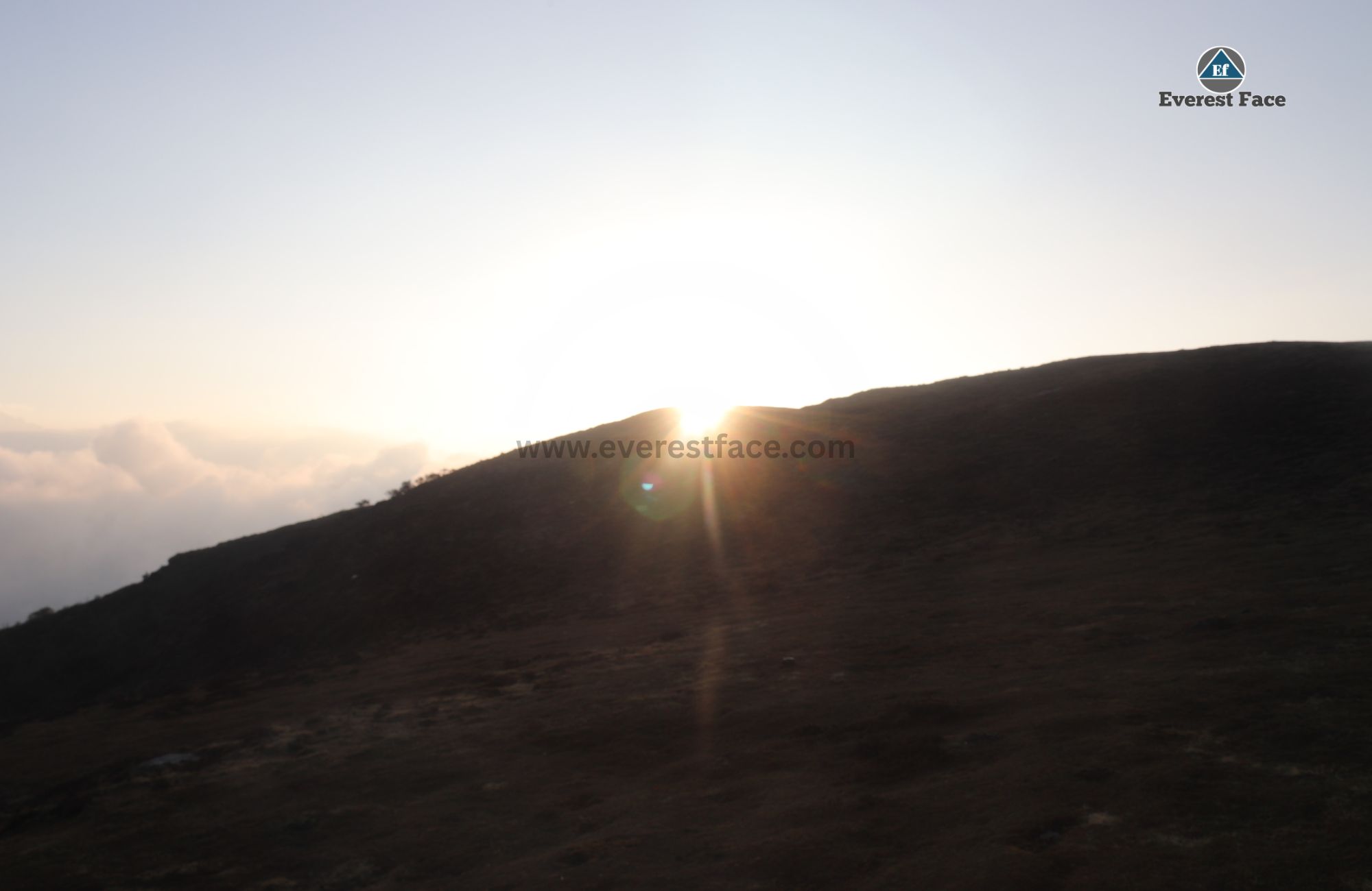 Sunrise_Singla-1747148824.jpg