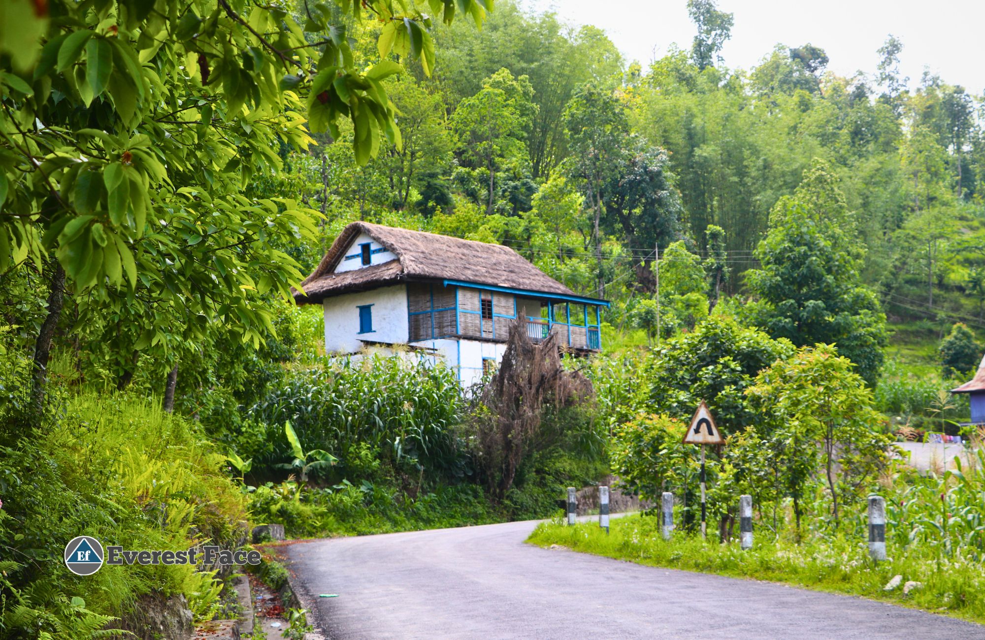 Taplejung-(6)-1748661940.jpg