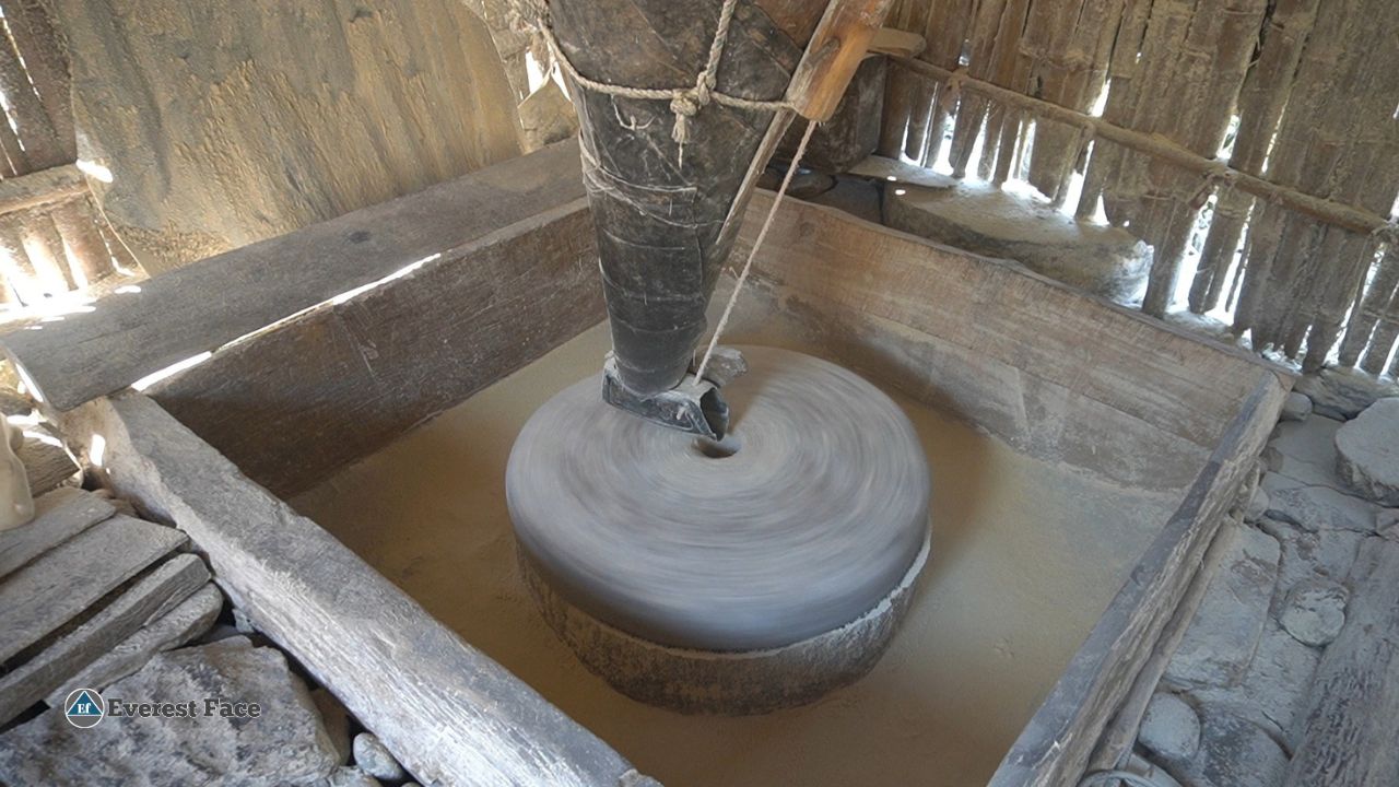 Water_Mill-(2)-1740022038.jpg