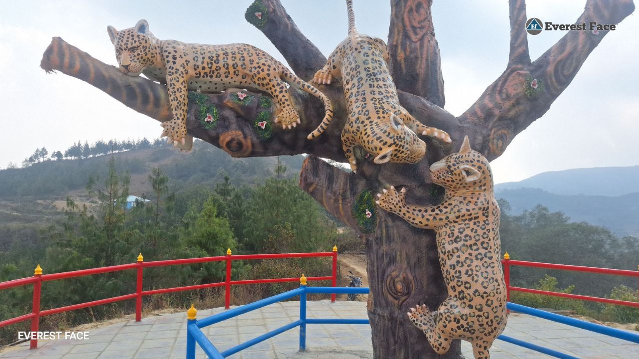 Zipline_Kailash-(6)-1740885004.jpg